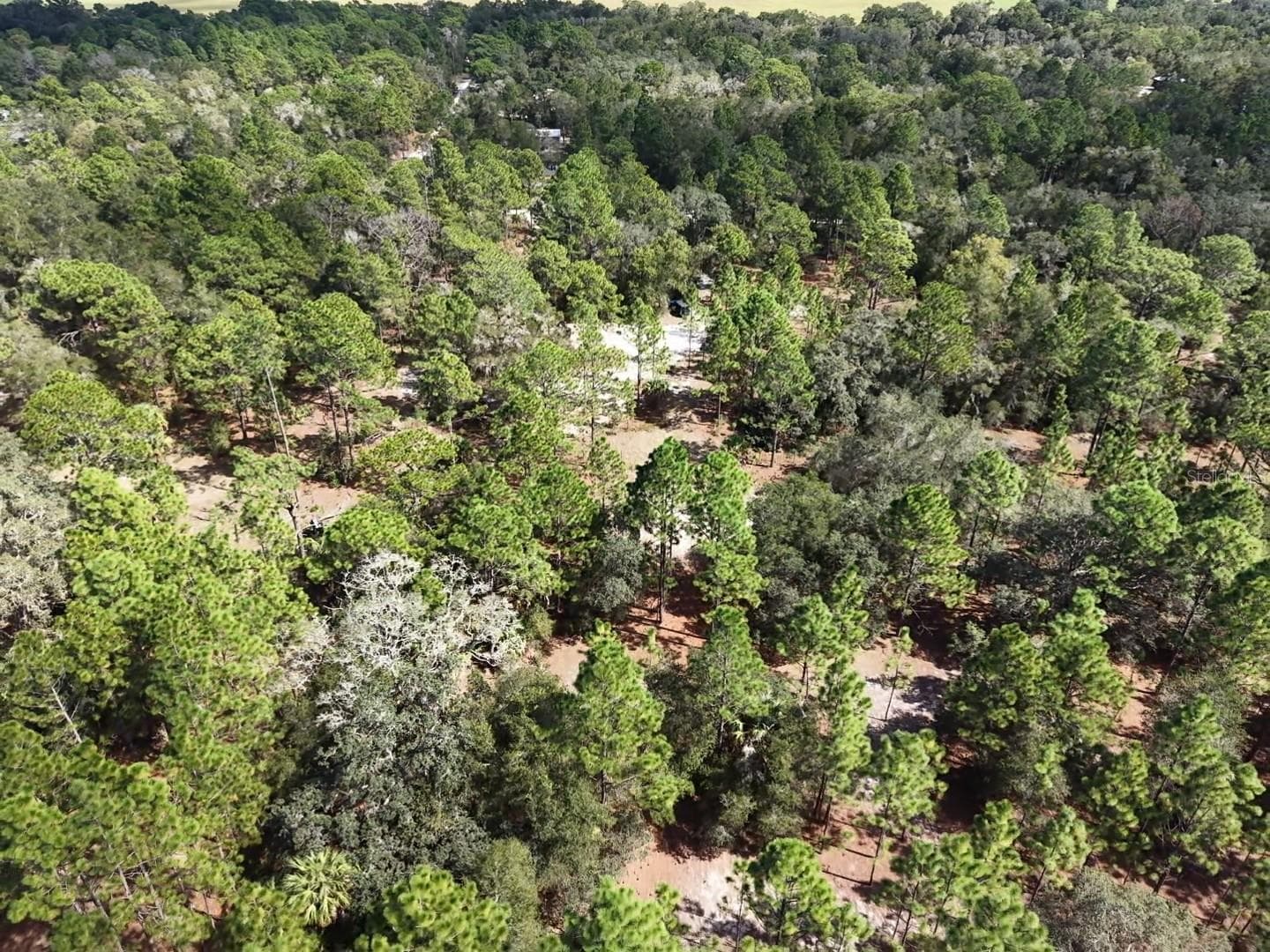 Land at 7416 N NATHAN PT, CRYSTAL RIVER, photo 76 of 78