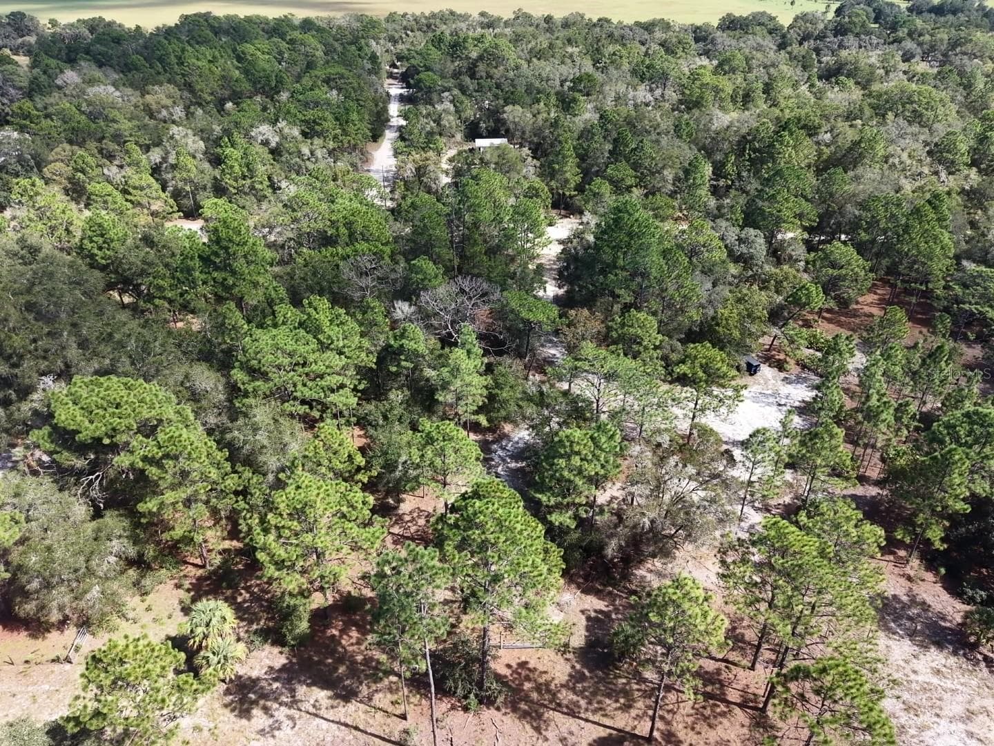 Land at 7416 N NATHAN PT, CRYSTAL RIVER, photo 77 of 78