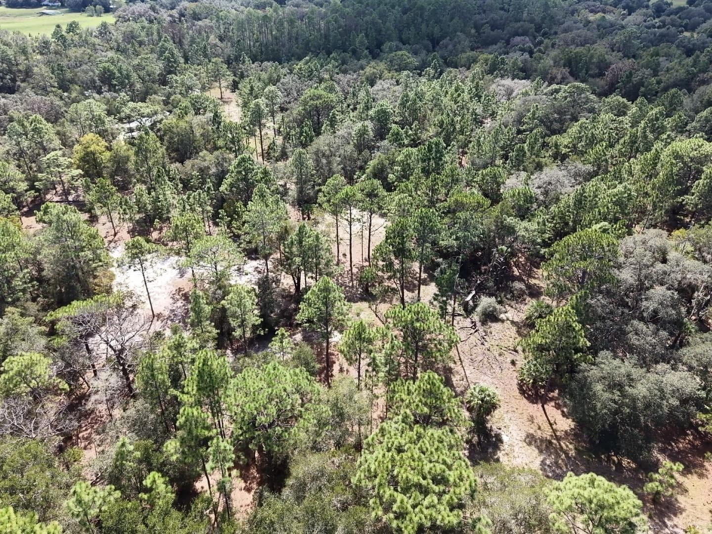 Land at 7416 N NATHAN PT, CRYSTAL RIVER, photo 78 of 78