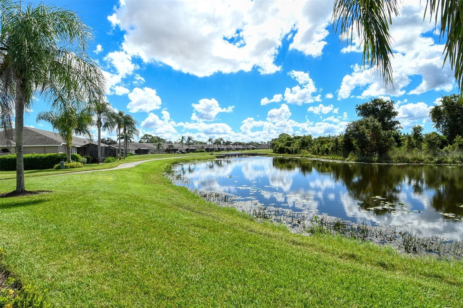 View - 5126 BLUE ASH AVE, SARASOTA
