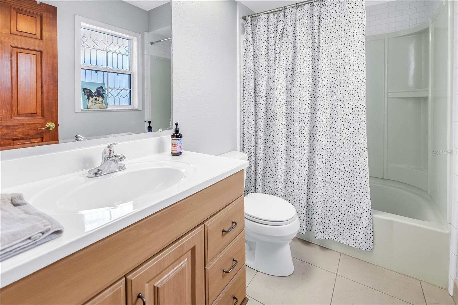 Guest Bathroom - 2079 EGRET DR, PALM HARBOR