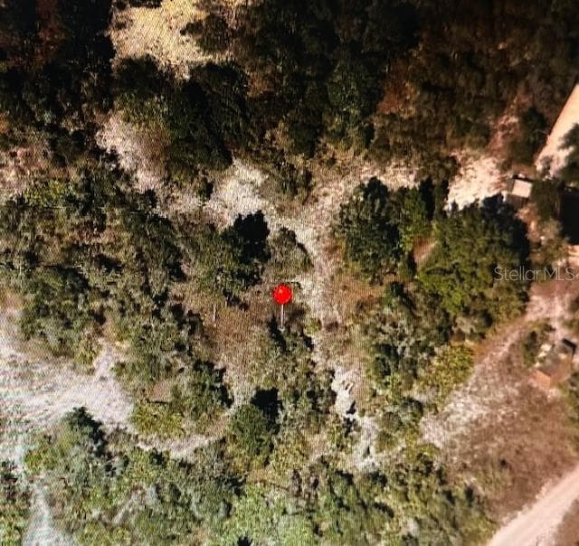 Land at HOLOPAW GROVES RD, ST CLOUD, photo 4 of 6