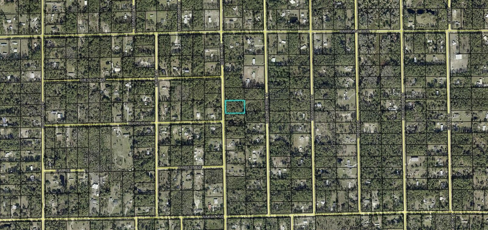 Land at 1689 BEECH BLVD, BUNNELL, photo 2 of 3