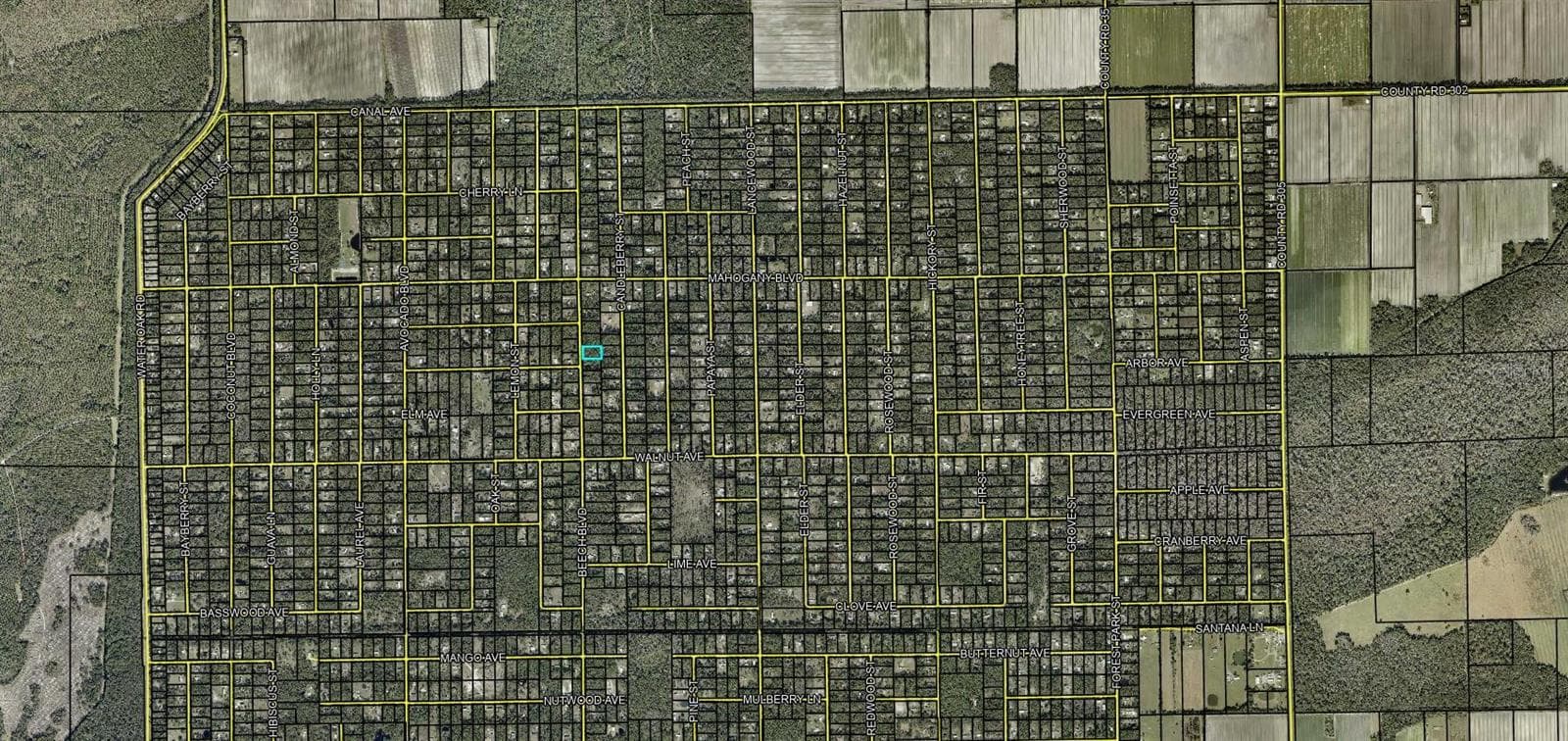 Land at 1689 BEECH BLVD, BUNNELL, photo 3 of 3