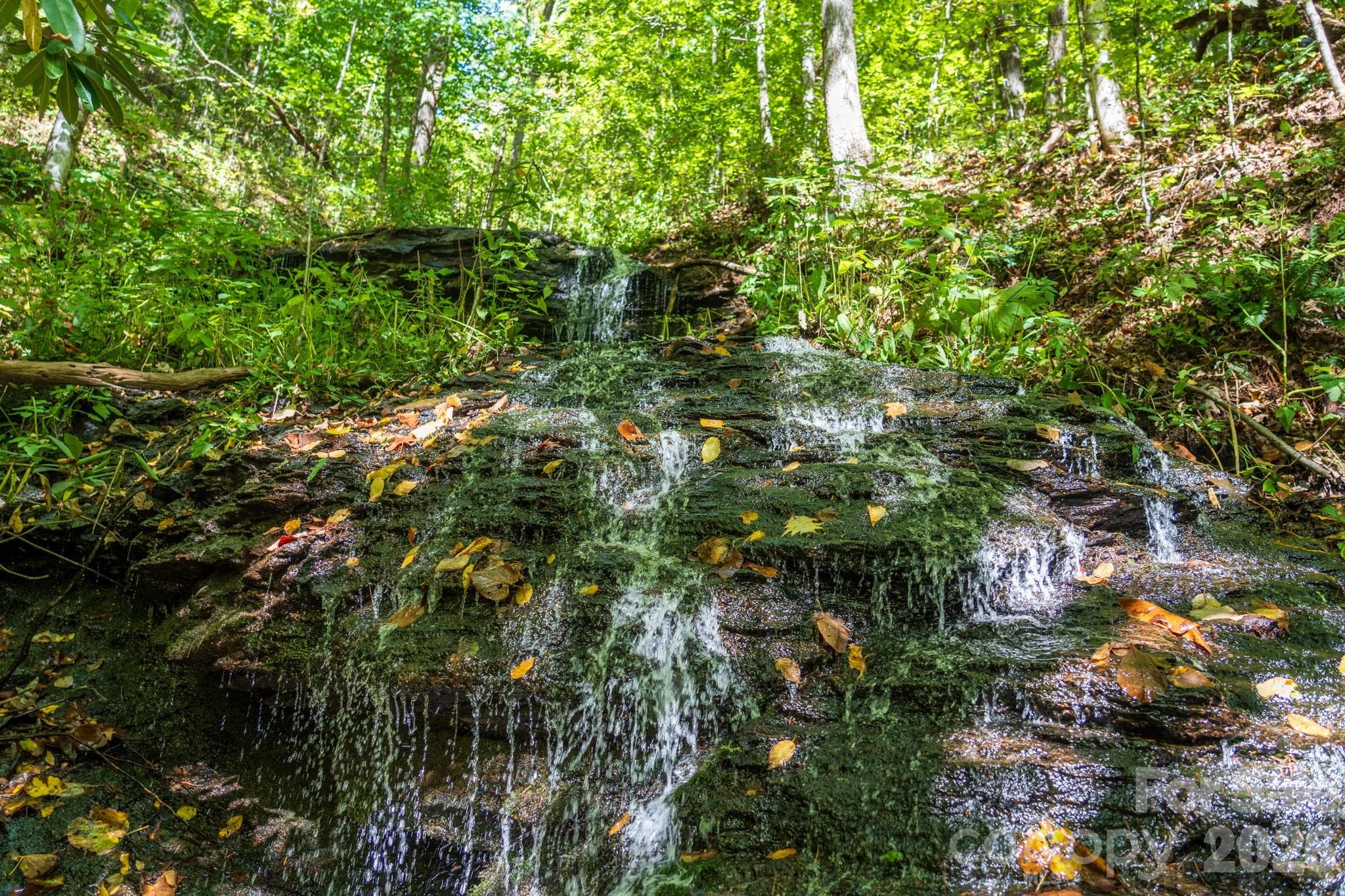 Waterfall on Drift Branch running down middle of property - 00 Orion Davis Road, Waynesville