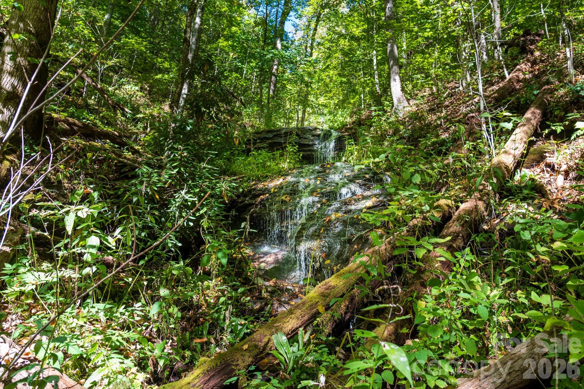 One of many waterfalls on property - 00 Orion Davis Road, Waynesville