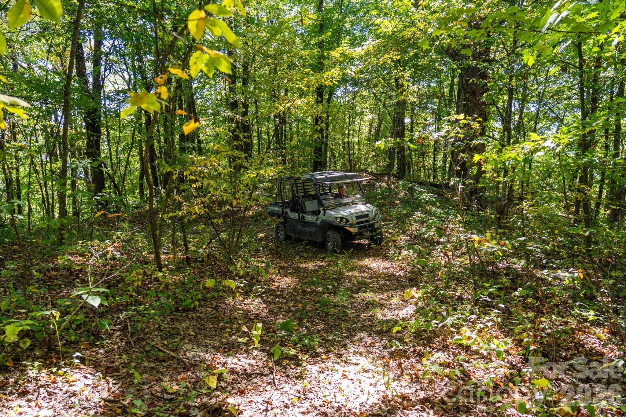 West end of the property bordering Haywood Community College Teaching Forest - 00 Orion Davis Road, Waynesville
