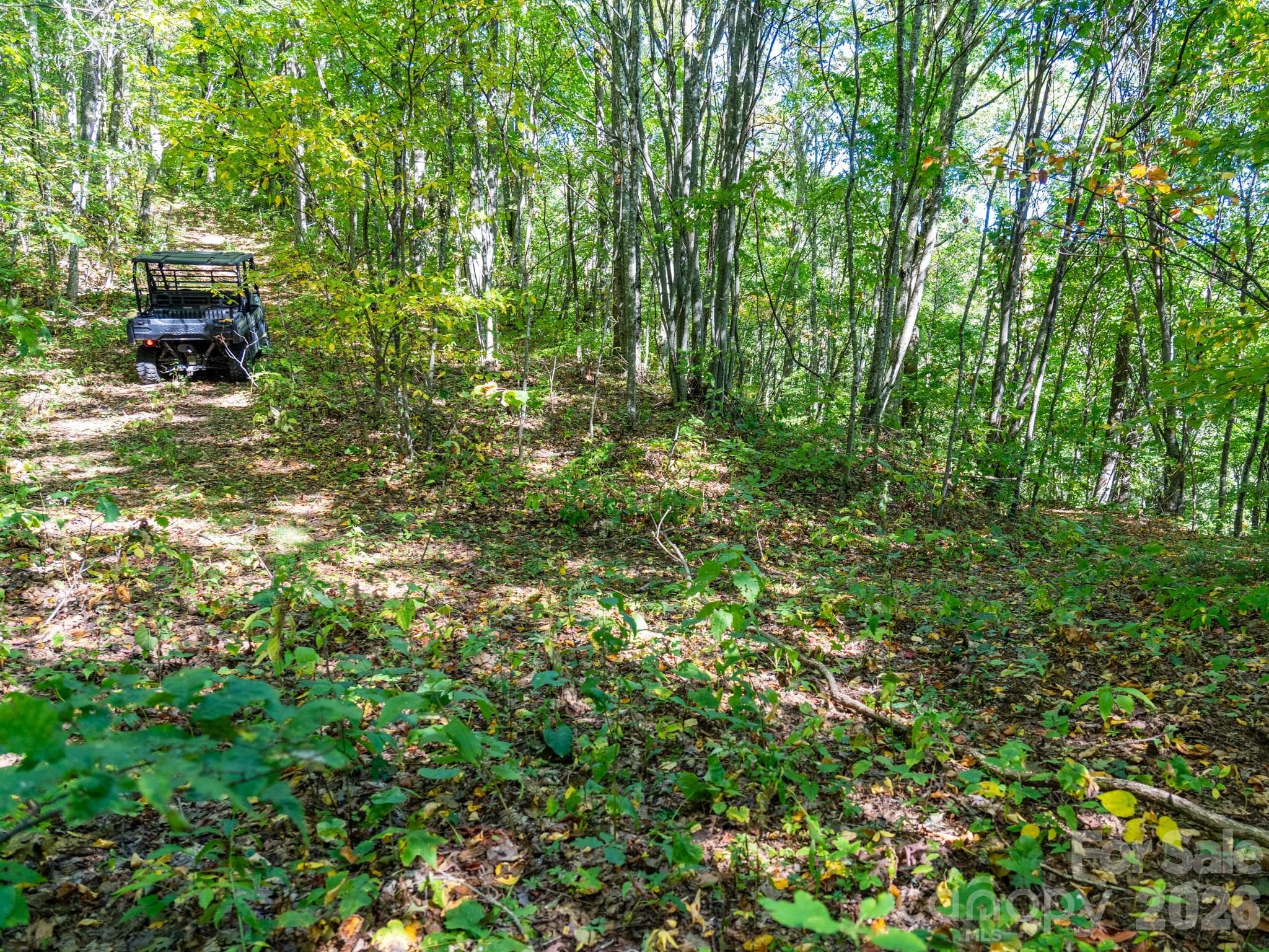 One of many old logging roads on property perfect for hiking or 4x4 adventures - 00 Orion Davis Road, Waynesville