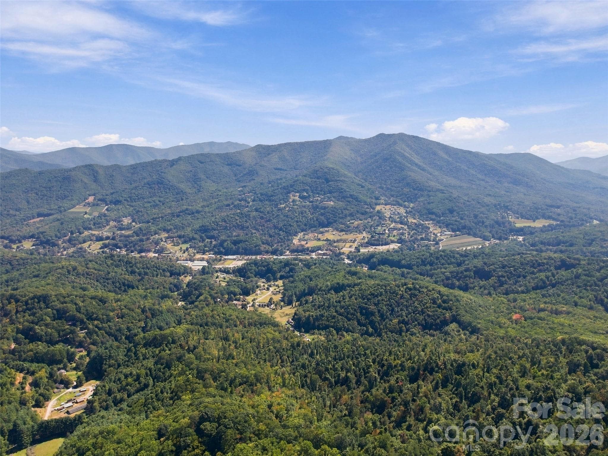 Potential views from homesites face Blue Ridge Parkway and Pisgah National Forest - 00 Orion Davis Road, Waynesville