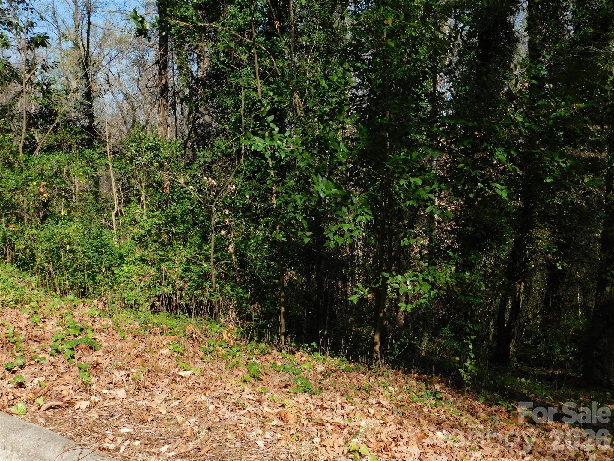 Lot at 000 Todd Drive NE, Concord, photo 5 of 5