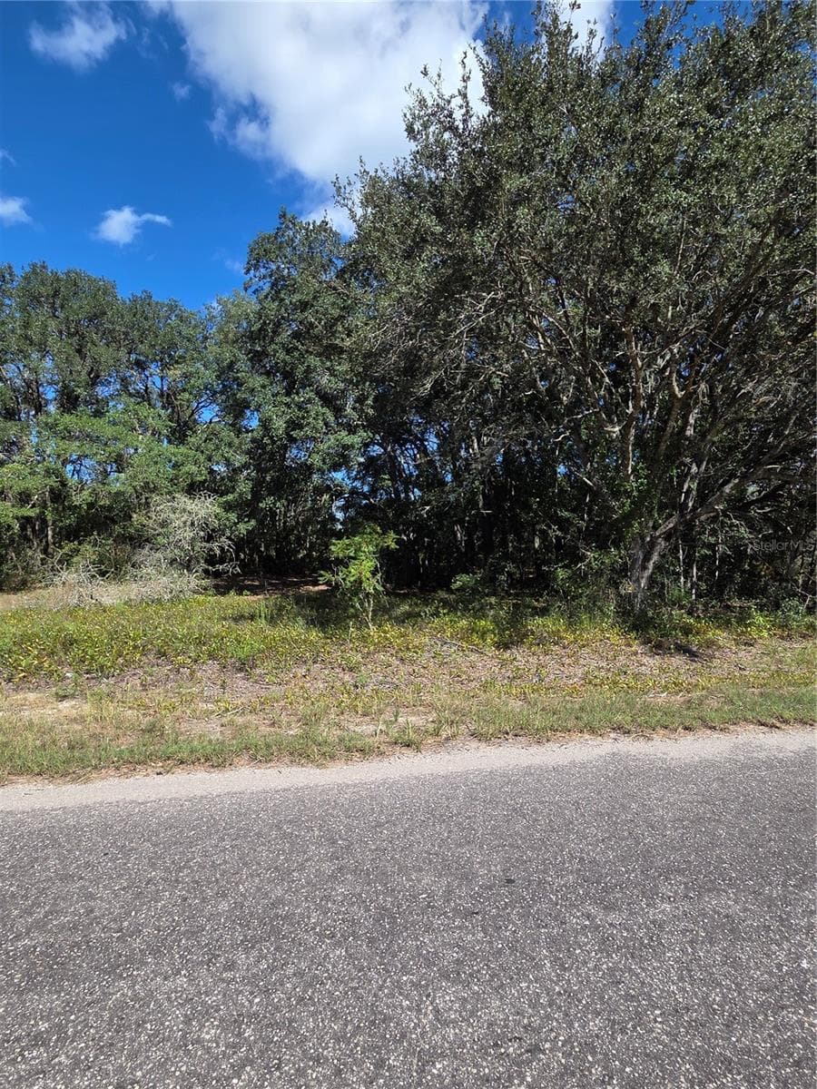 Land at 115 STREET ROAD, OCKLAWAHA, photo 2 of 3