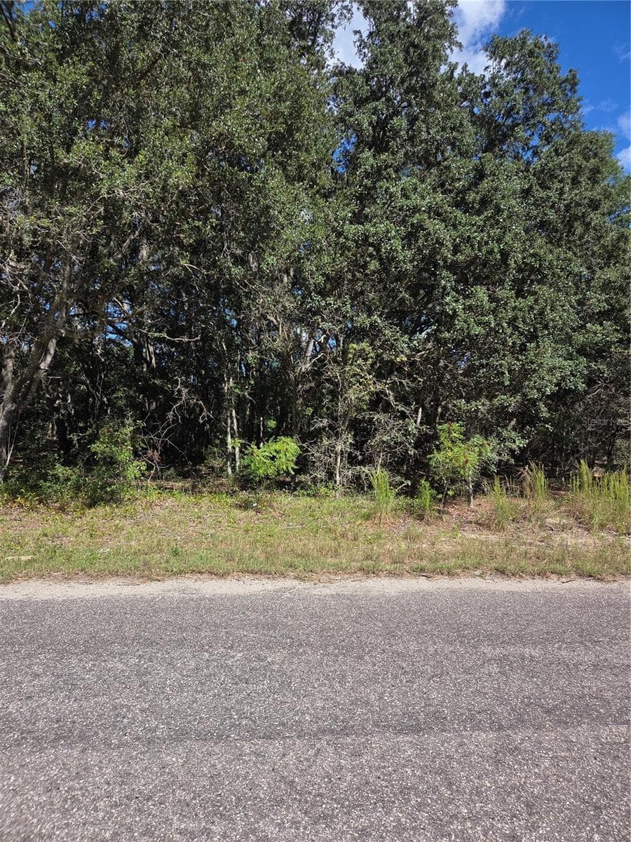 Land at 115 STREET ROAD, OCKLAWAHA, photo 3 of 3