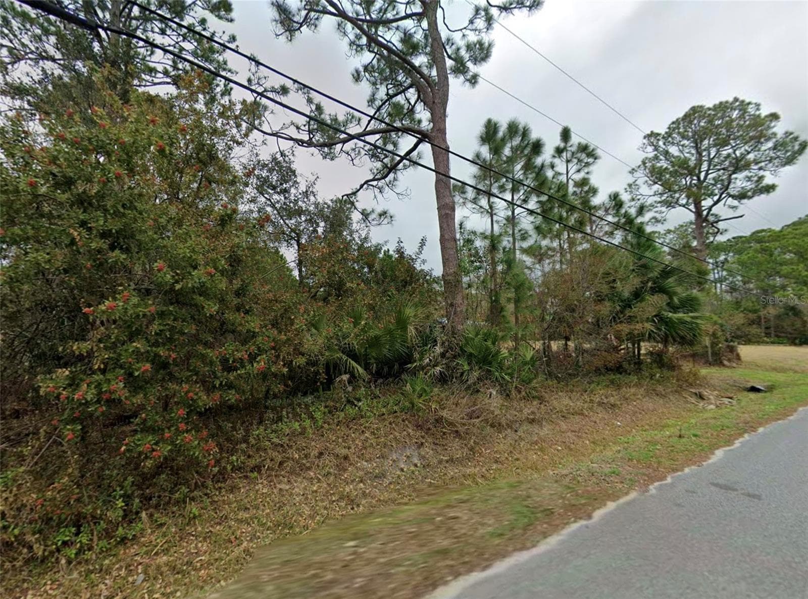 Land at MANGO AVE, COCOA, photo 3 of 6