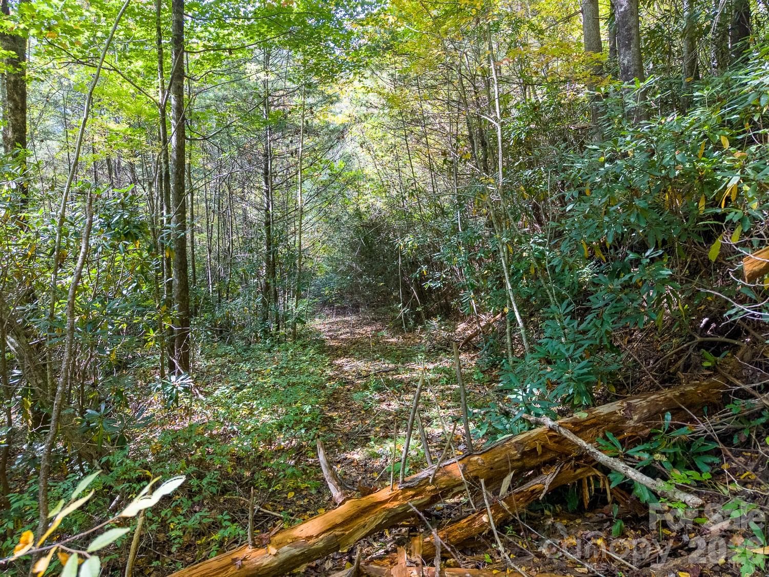 Lot at 00 Little Snowbird Road, Robbinsville, photo 15 of 22