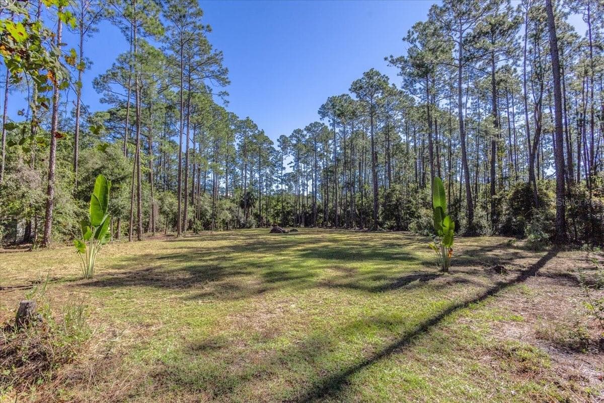 Land at 1451 HICKORY ST., BUNNELL, photo 3 of 13