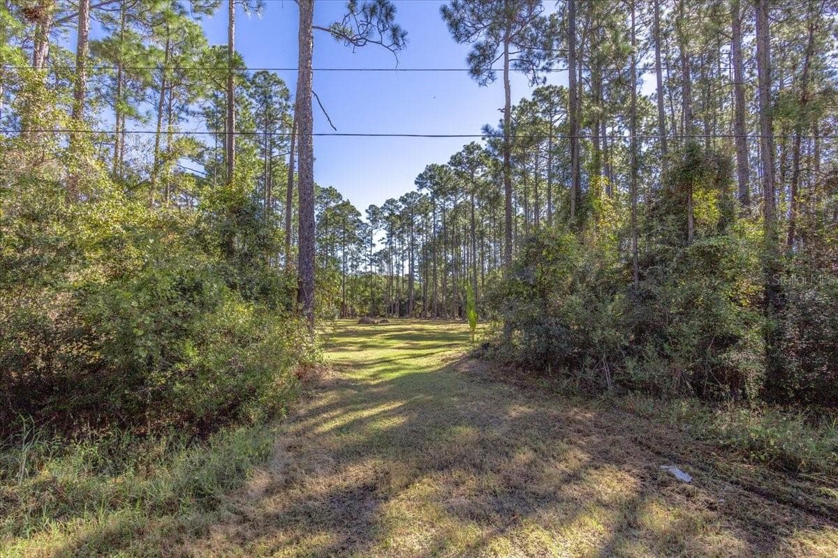 Land at 1451 HICKORY ST., BUNNELL, photo 5 of 13