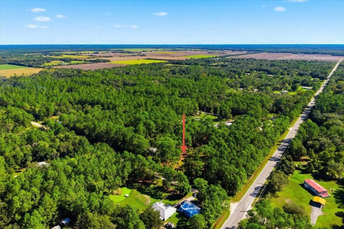 Land at 1451 HICKORY ST., BUNNELL, photo 11 of 13