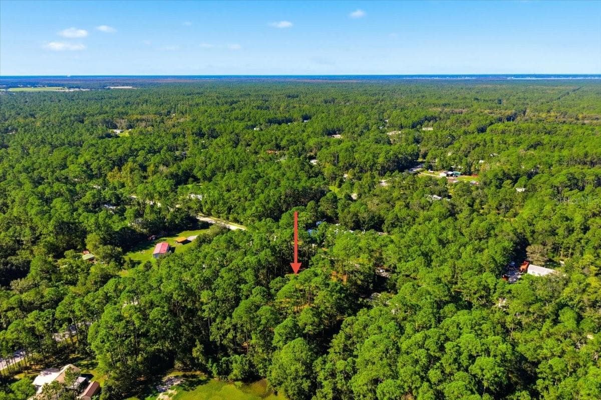 Land at 1451 HICKORY ST., BUNNELL, photo 13 of 13