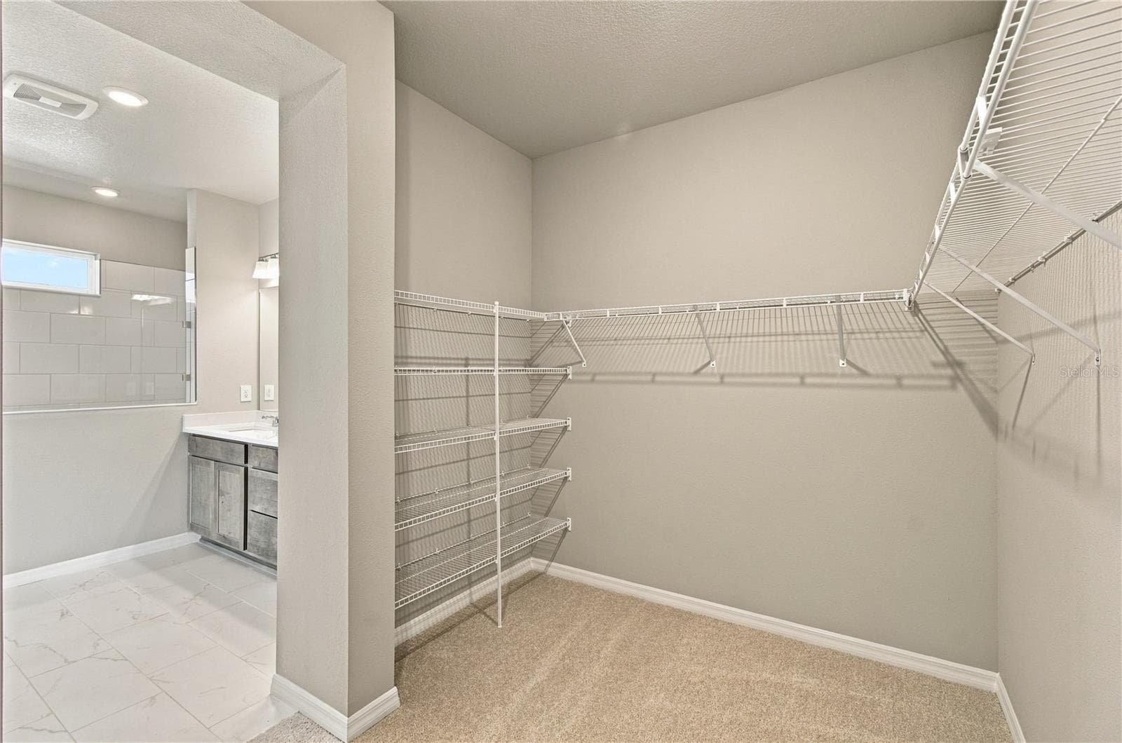 Owner's Closet - 437 SPRING HARVEST DR, PLANT CITY