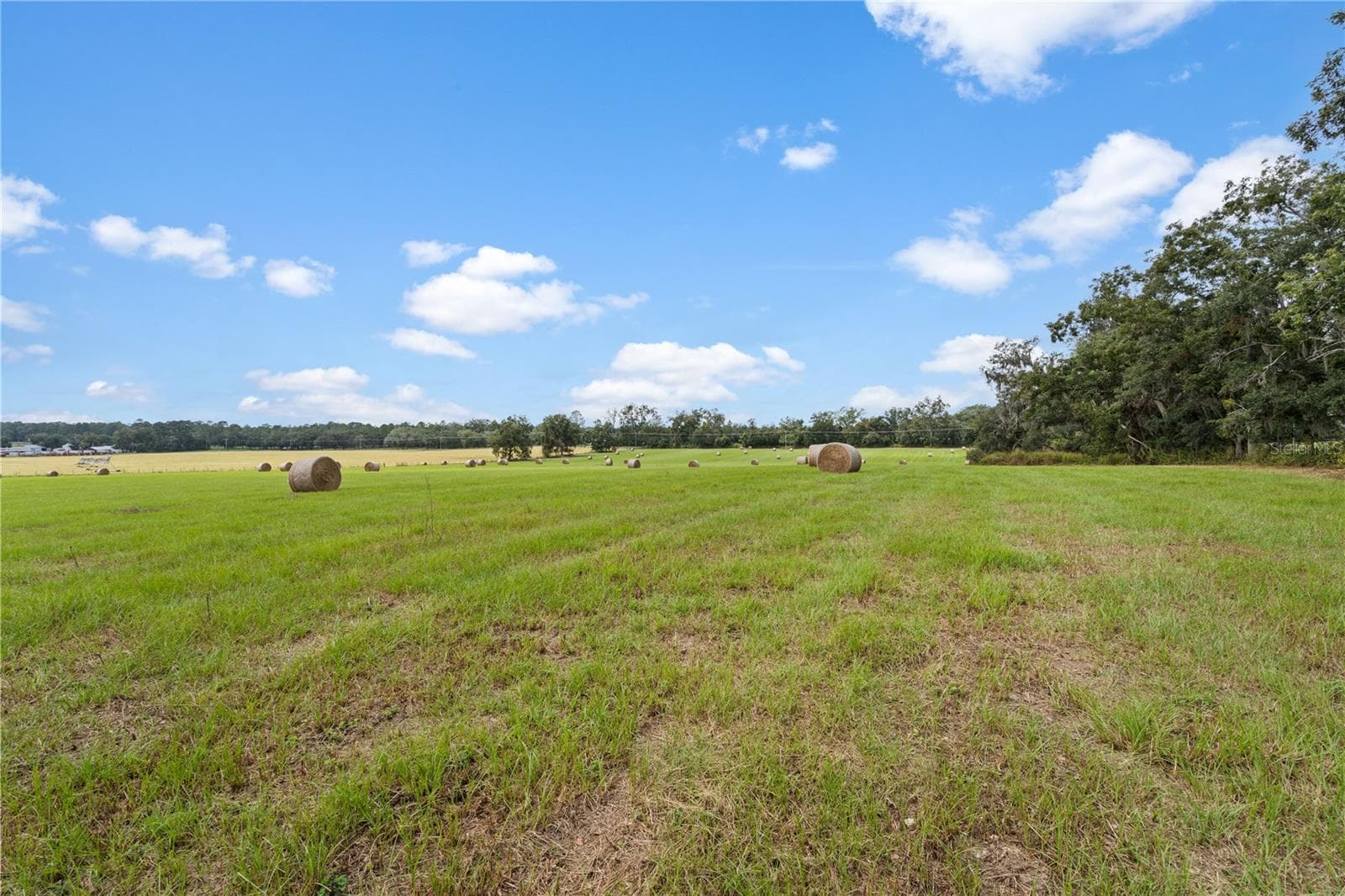 Land at 0000 SW TUSTENUGGEE AVE, LAKE CITY, photo 2 of 14