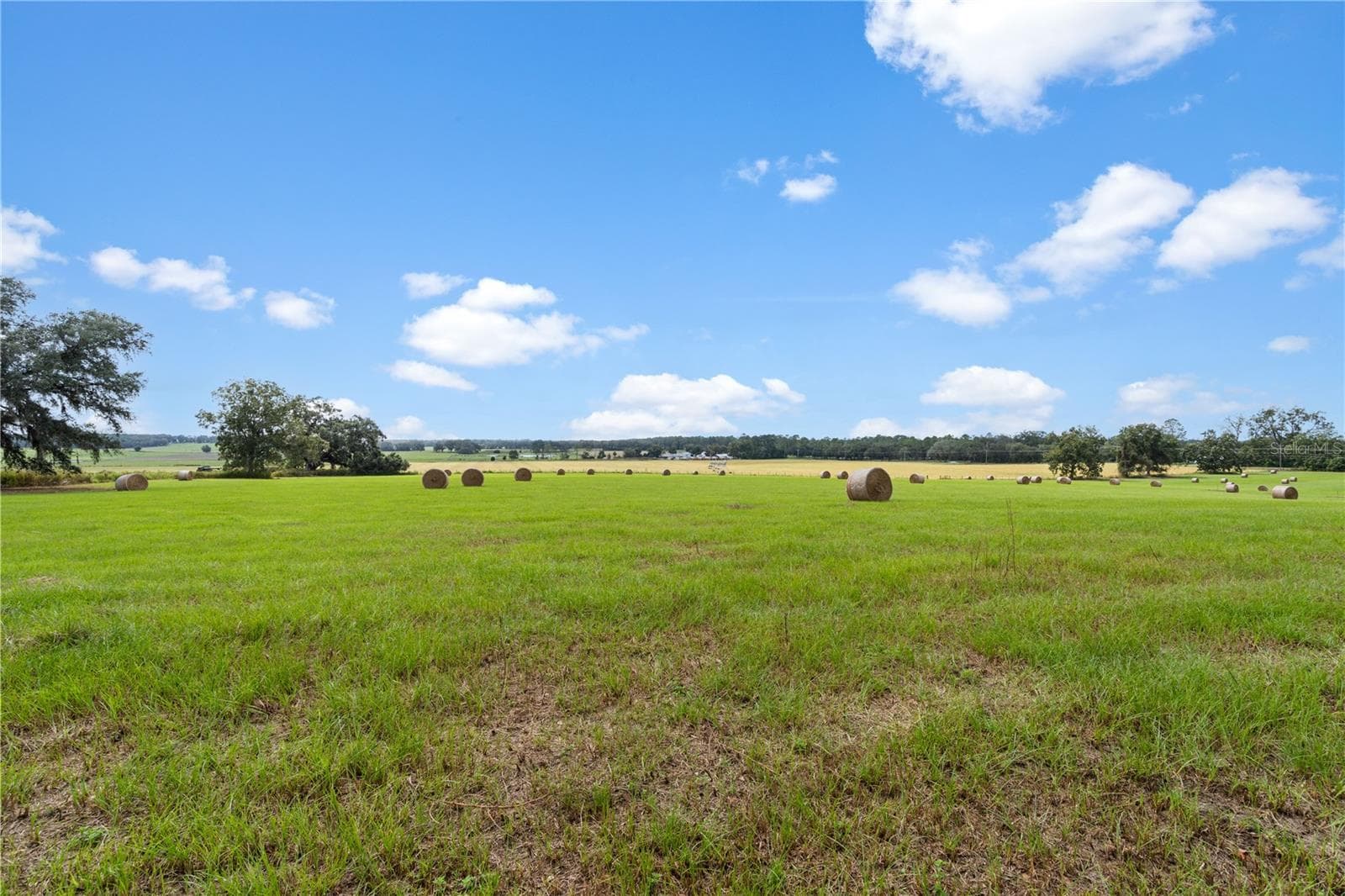 Land at 0000 SW TUSTENUGGEE AVE, LAKE CITY, photo 3 of 14