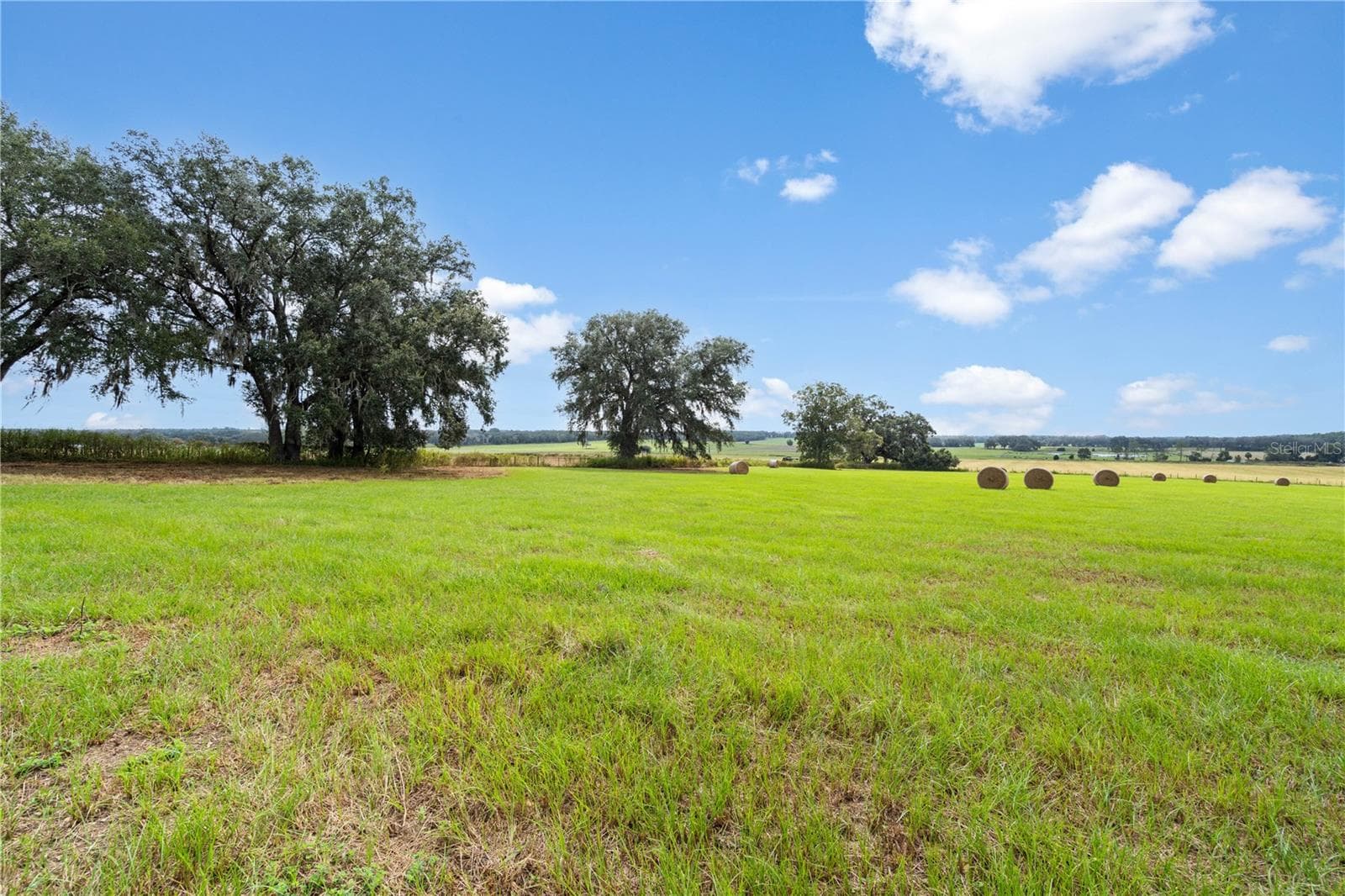 Land at 0000 SW TUSTENUGGEE AVE, LAKE CITY, photo 4 of 14