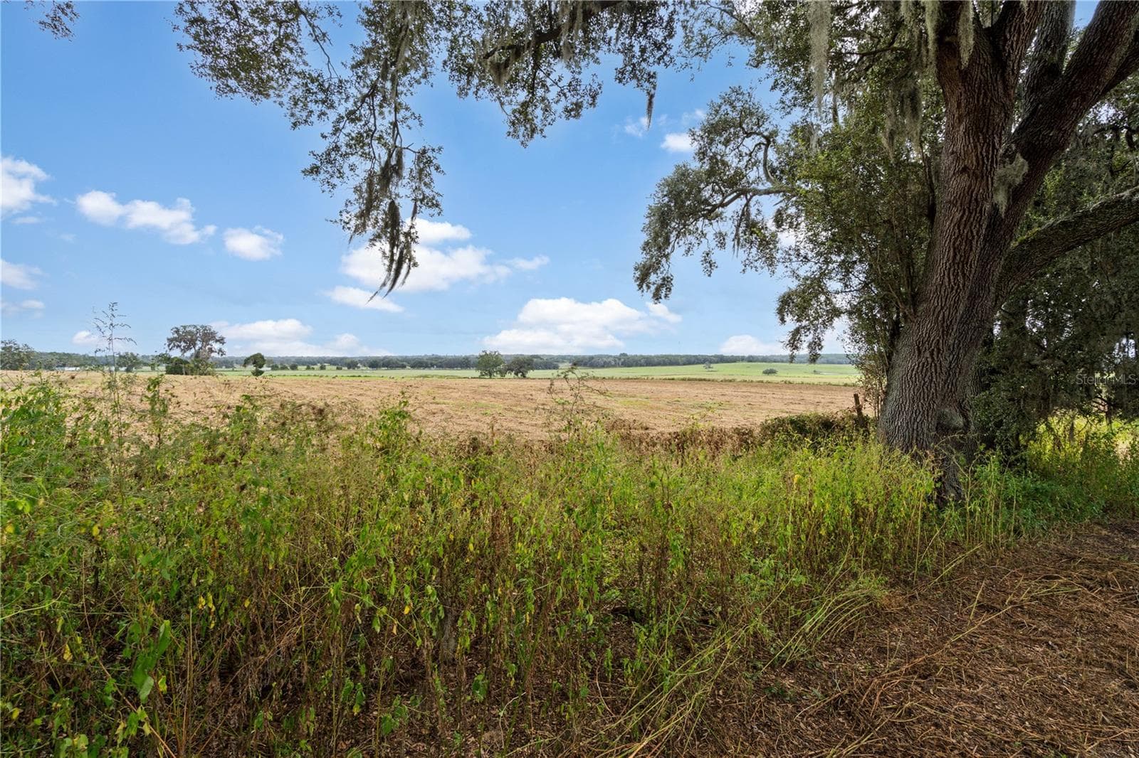 Land at 0000 SW TUSTENUGGEE AVE, LAKE CITY, photo 5 of 14