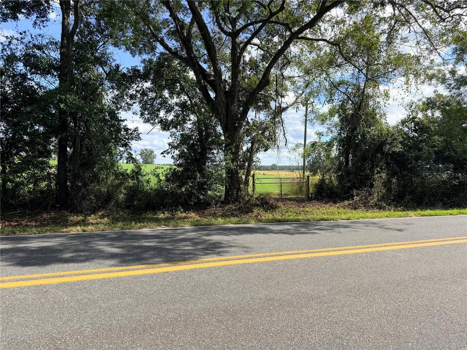 Tustenuggee Ave w/ gate access to property - 0000 SW TUSTENUGGEE AVE, LAKE CITY