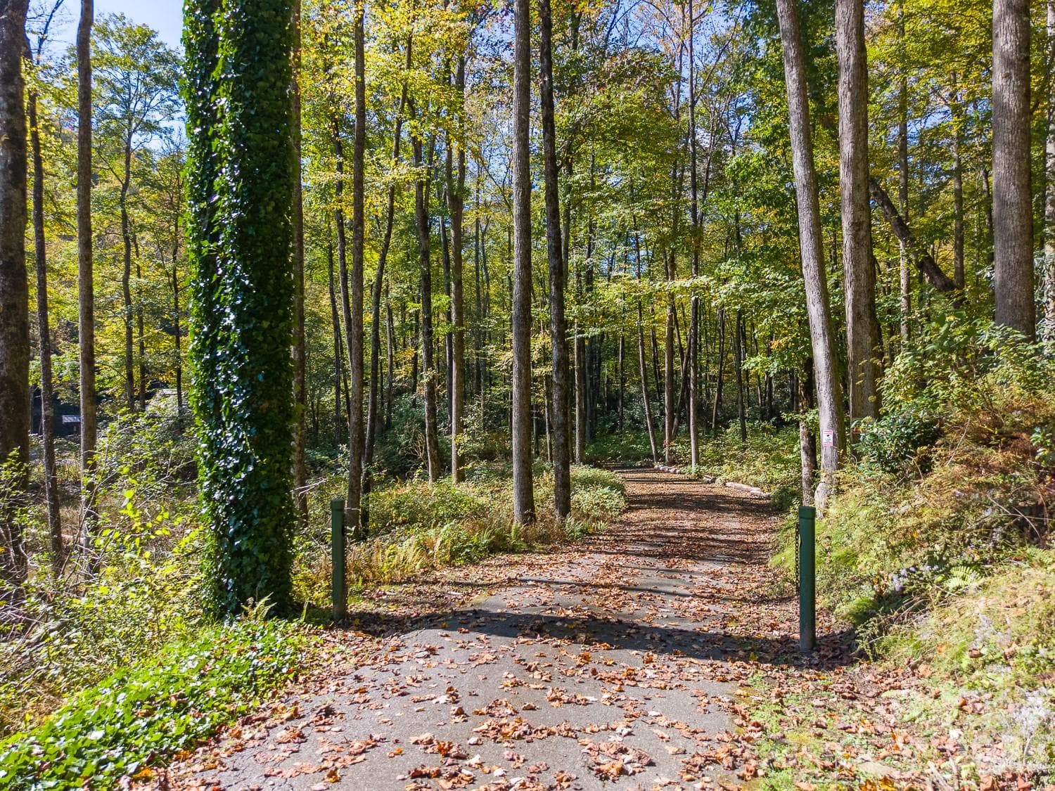 Driveway 1 - 7810 Little Snowbird Road, Robbinsville