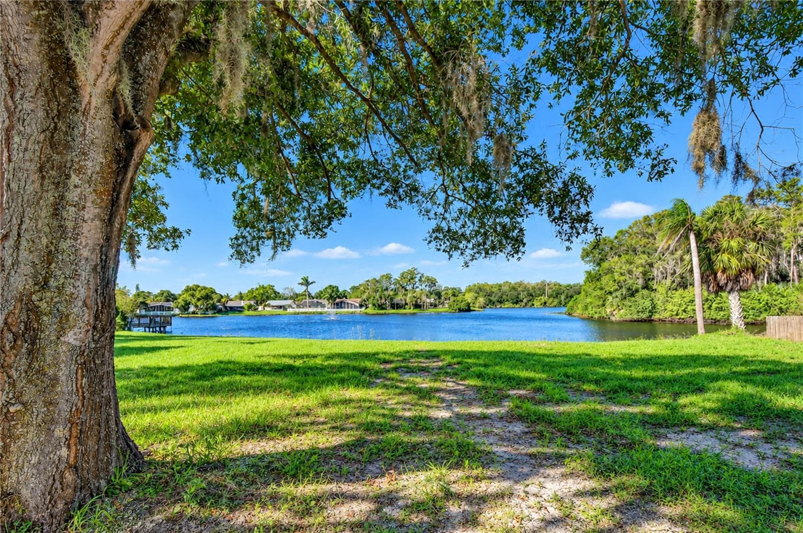 Single Family Residence at 404 LAKEVIEW DR, OLDSMAR, photo 44 of 56
