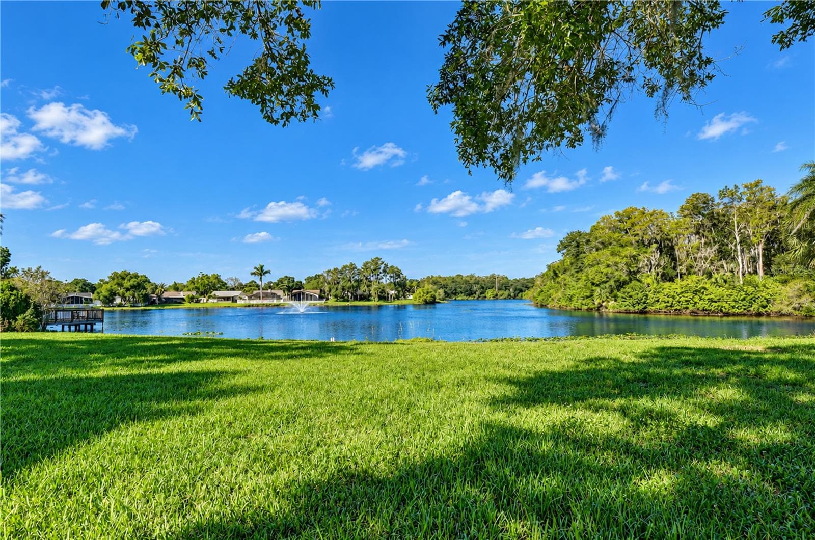 Single Family Residence at 404 LAKEVIEW DR, OLDSMAR, photo 46 of 56