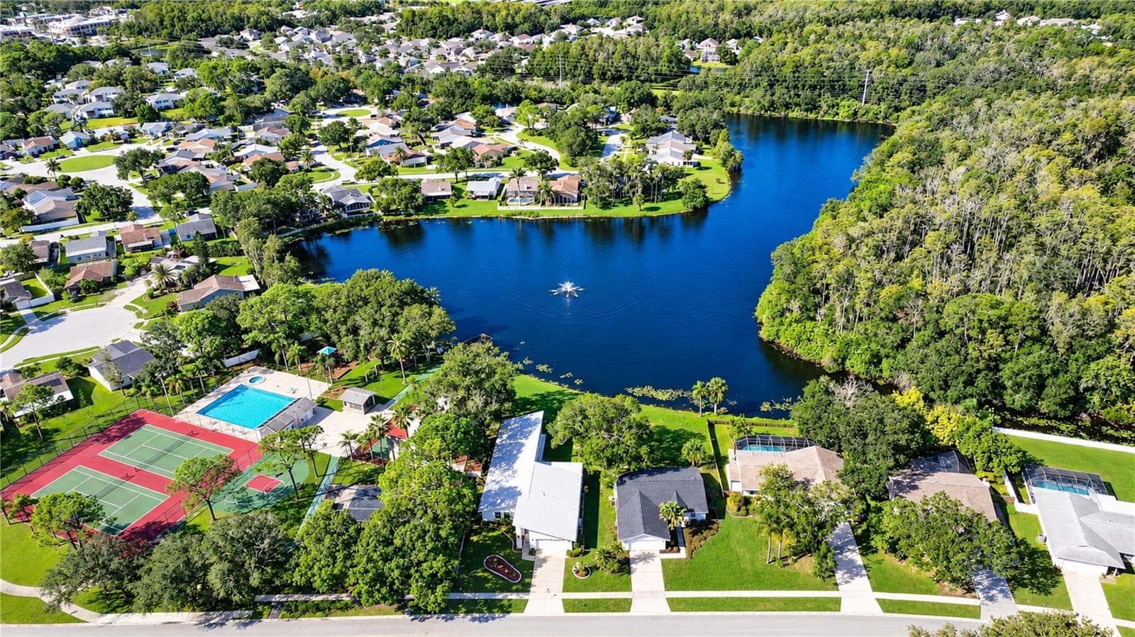 Single Family Residence at 404 LAKEVIEW DR, OLDSMAR, photo 50 of 56