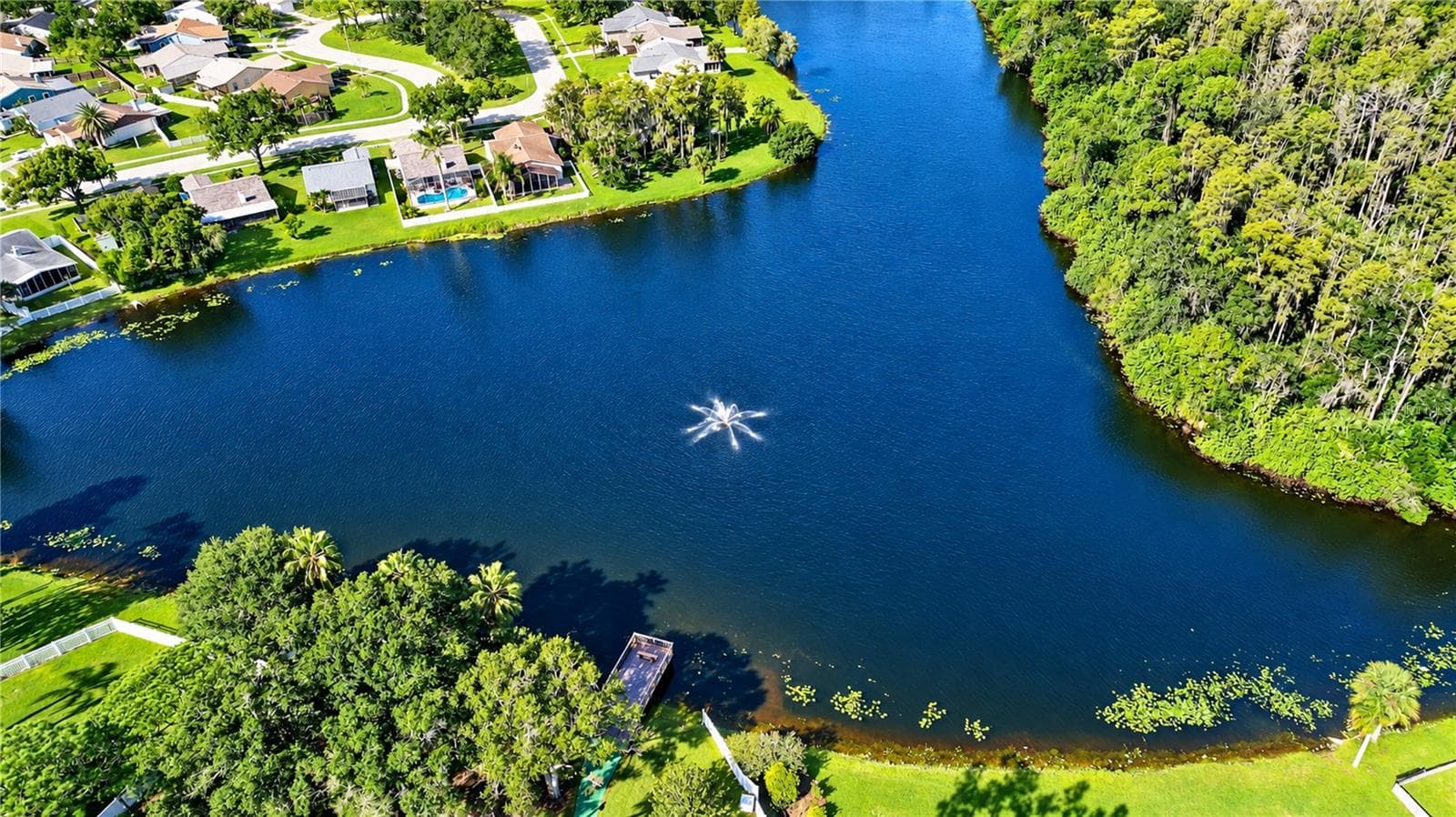 Single Family Residence at 404 LAKEVIEW DR, OLDSMAR, photo 53 of 56