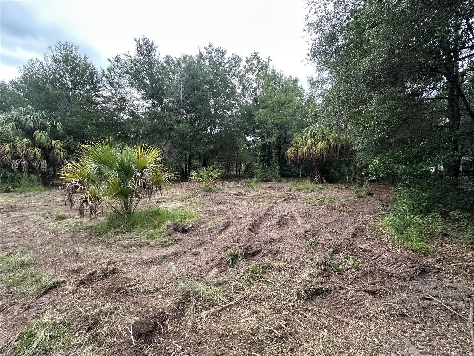 Land at 11356 N YOUNG DR, DUNNELLON, photo 3 of 6