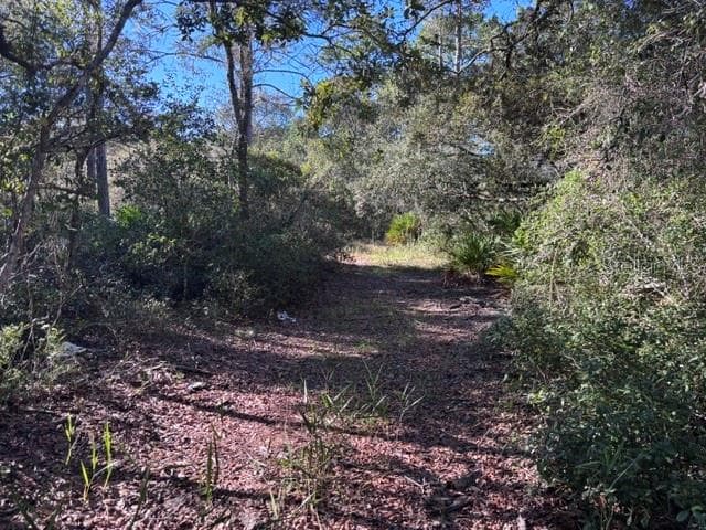 beautiful path thru woods - 7450 SW STATE ROAD 24, CEDAR KEY