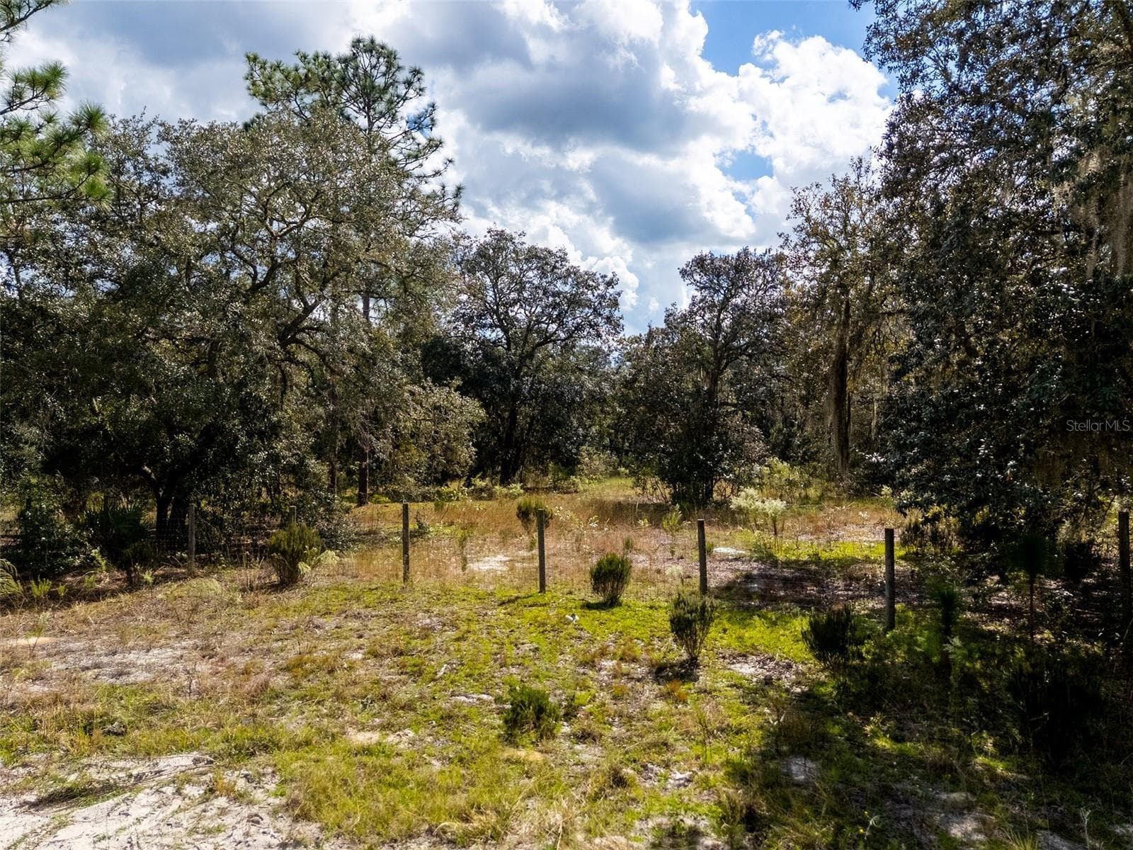 Land at 00 NE 78TH LN, BRONSON, photo 11 of 29