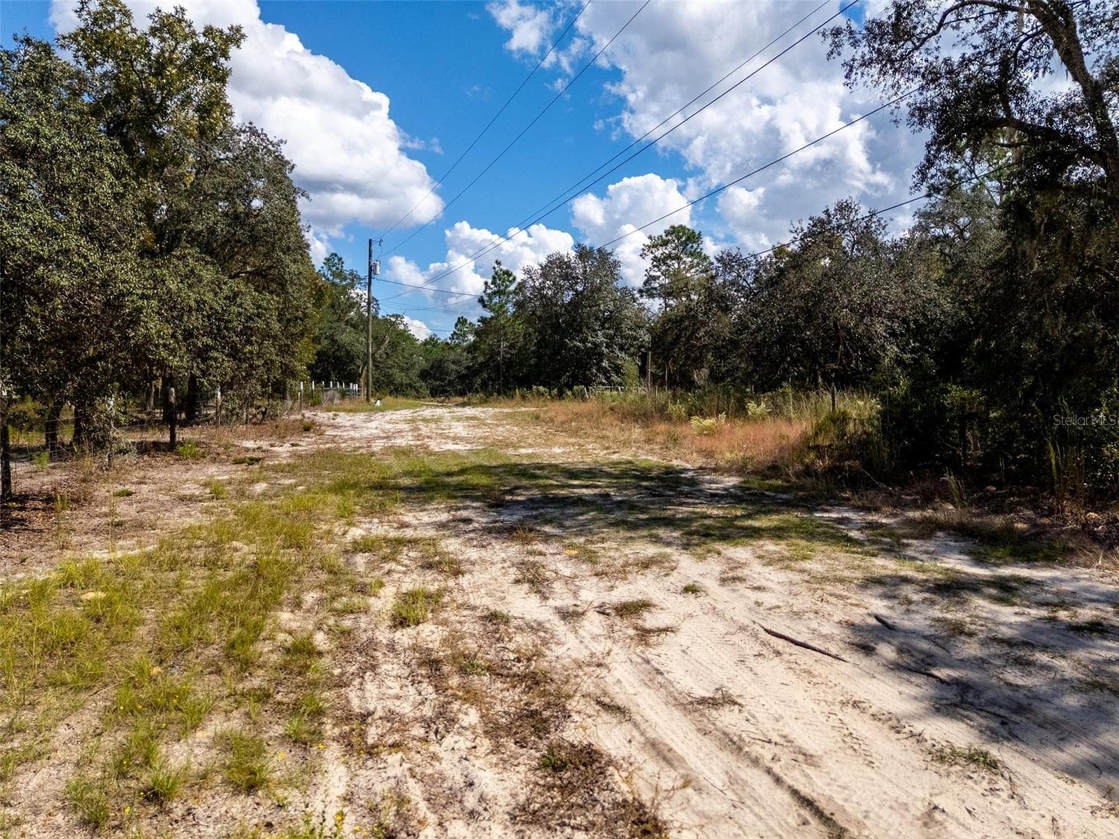 Land at 00 NE 78TH LN, BRONSON, photo 29 of 29