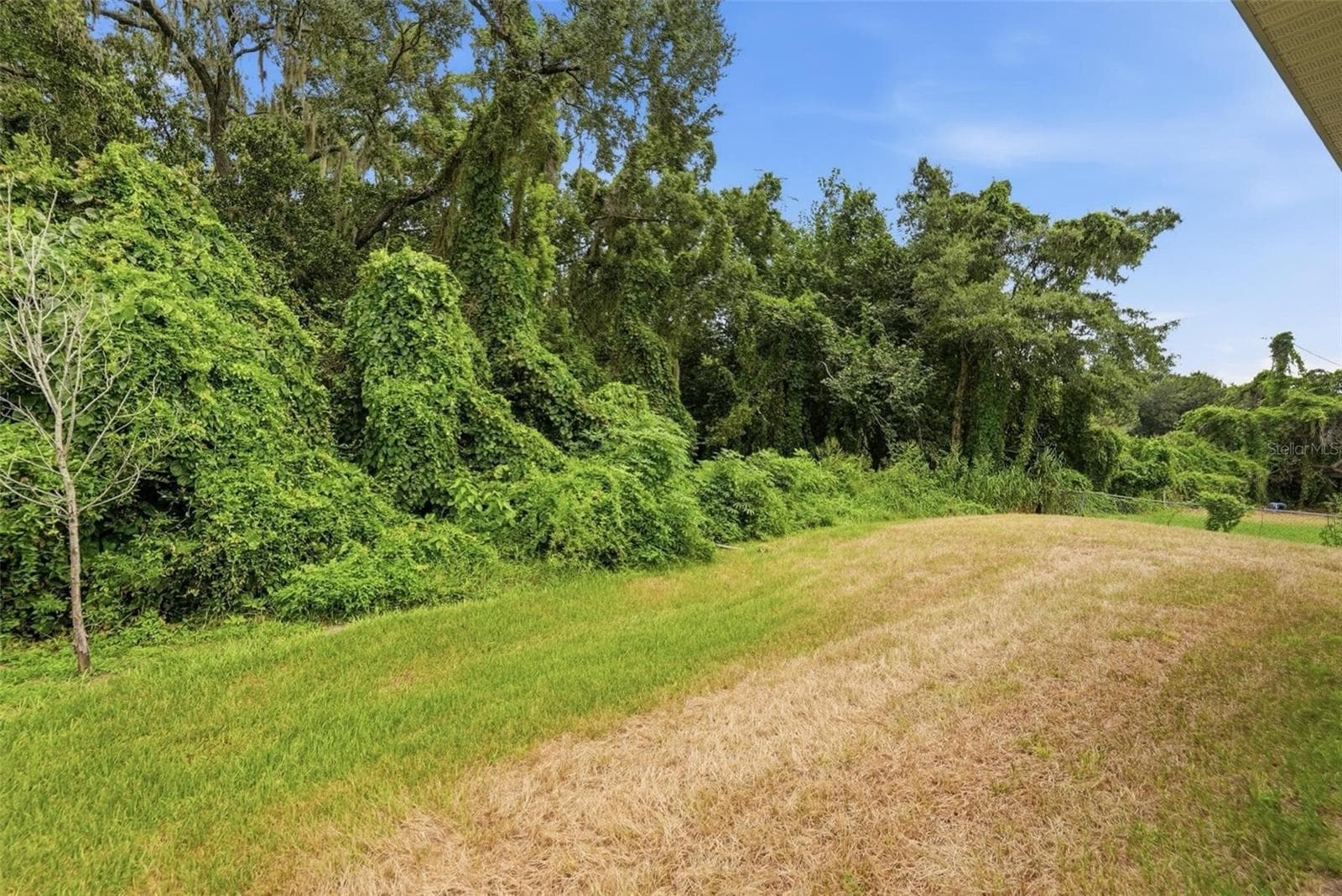 Single Family Residence at 5401 OLD CHENEY HWY, ORLANDO, photo 25 of 28
