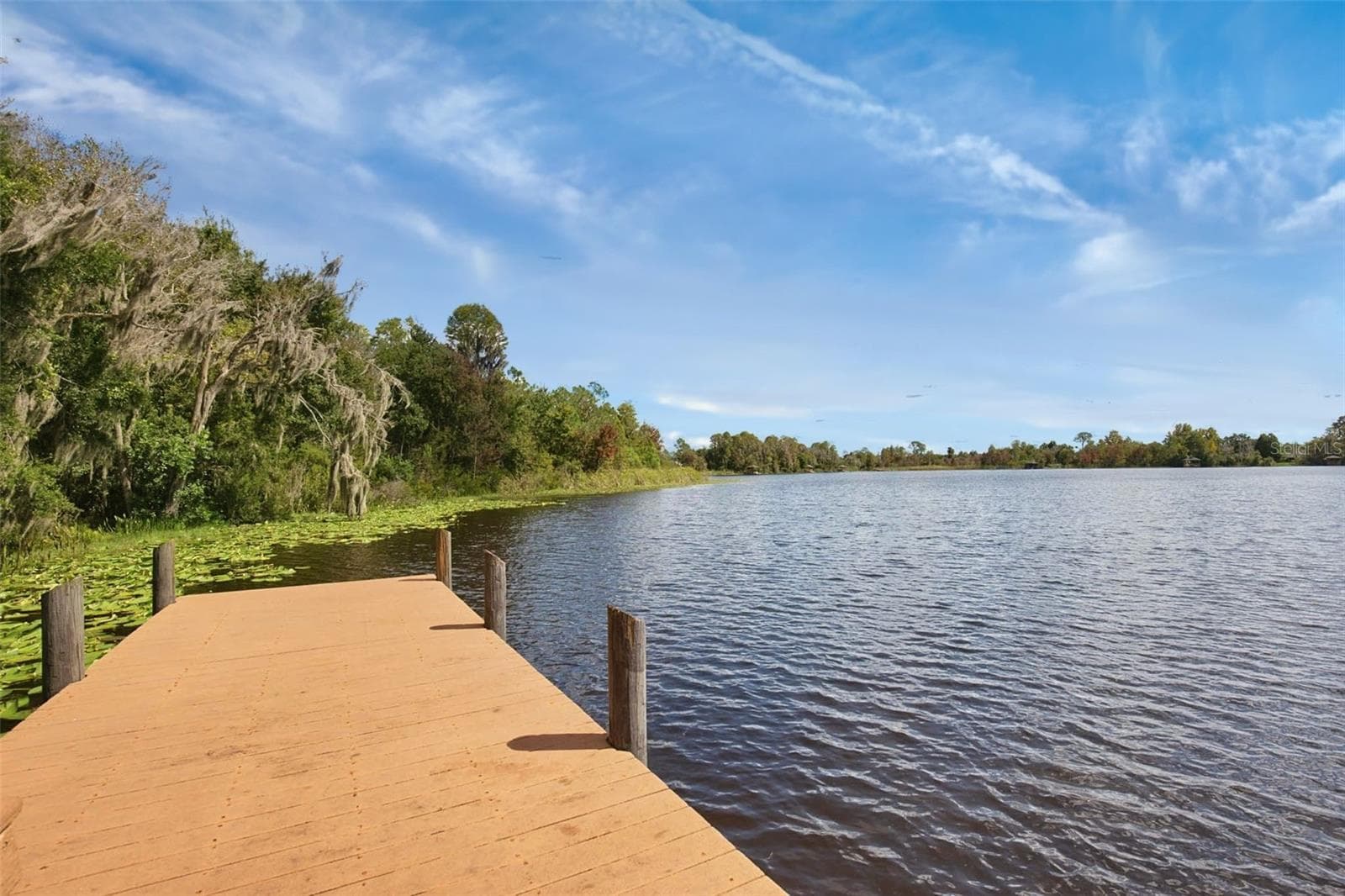 Single Family Residence at 7627 BLUE SPRING DR, LAND O LAKES, photo 35 of 46