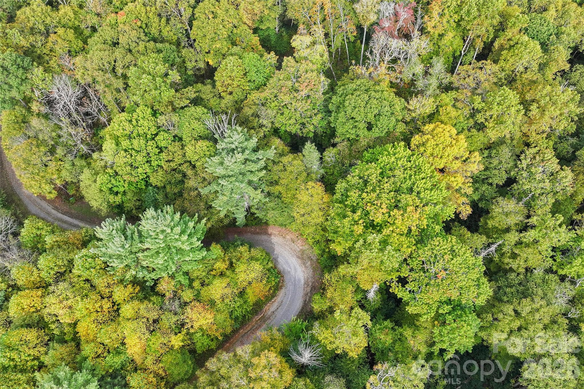 Lot at 45 Smoke Vine Trail, Clyde, photo 25 of 34
