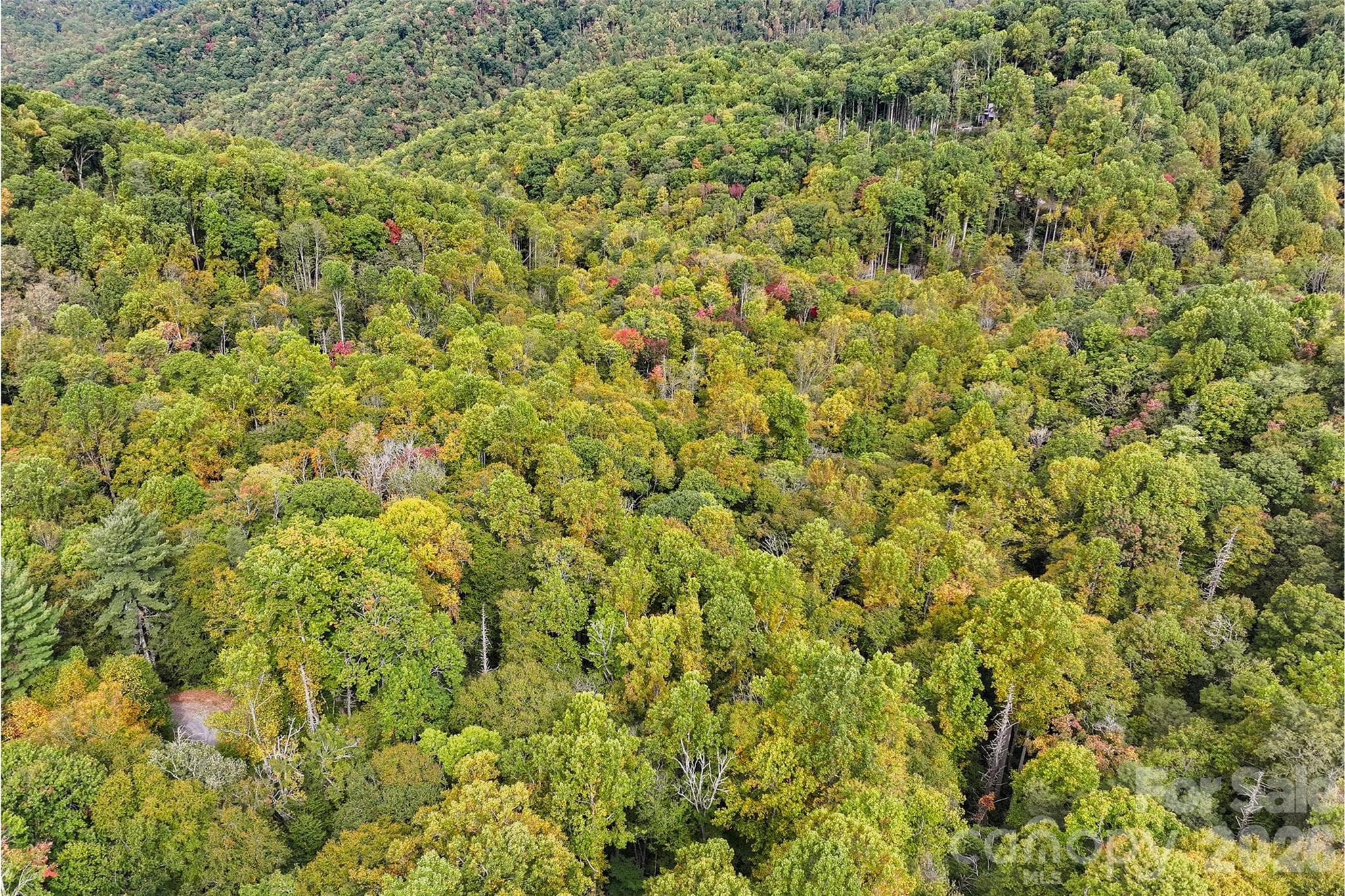 Lot at 45 Smoke Vine Trail, Clyde, photo 26 of 34