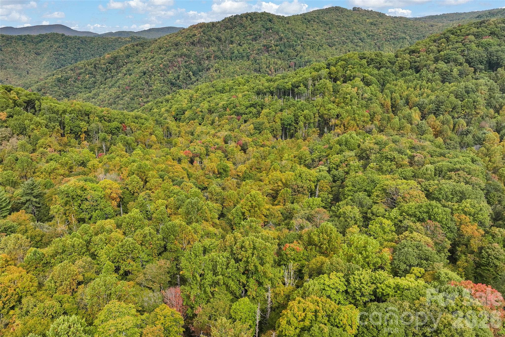 Lot at 45 Smoke Vine Trail, Clyde, photo 27 of 34