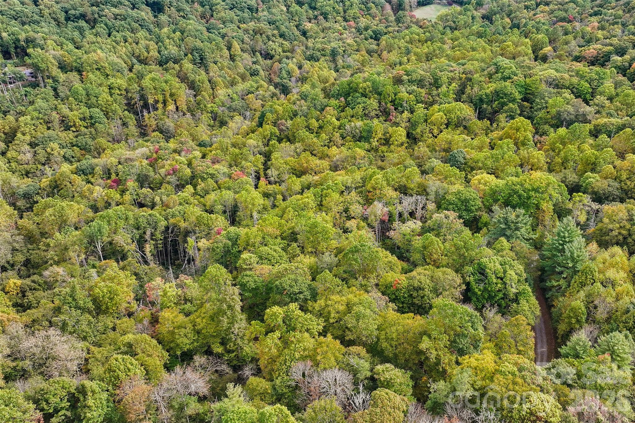 Lot at 45 Smoke Vine Trail, Clyde, photo 28 of 34