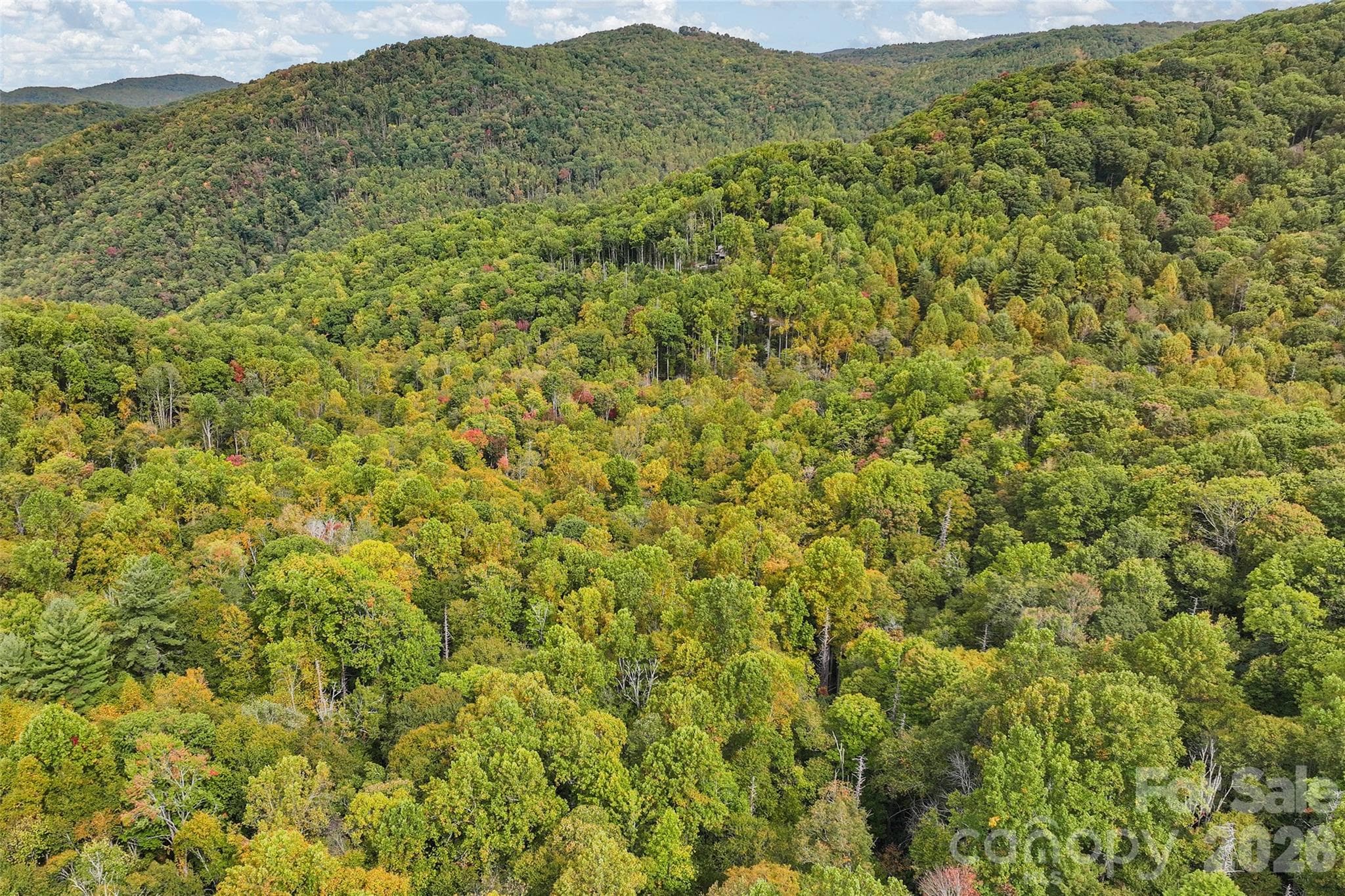 Lot at 45 Smoke Vine Trail, Clyde, photo 29 of 34