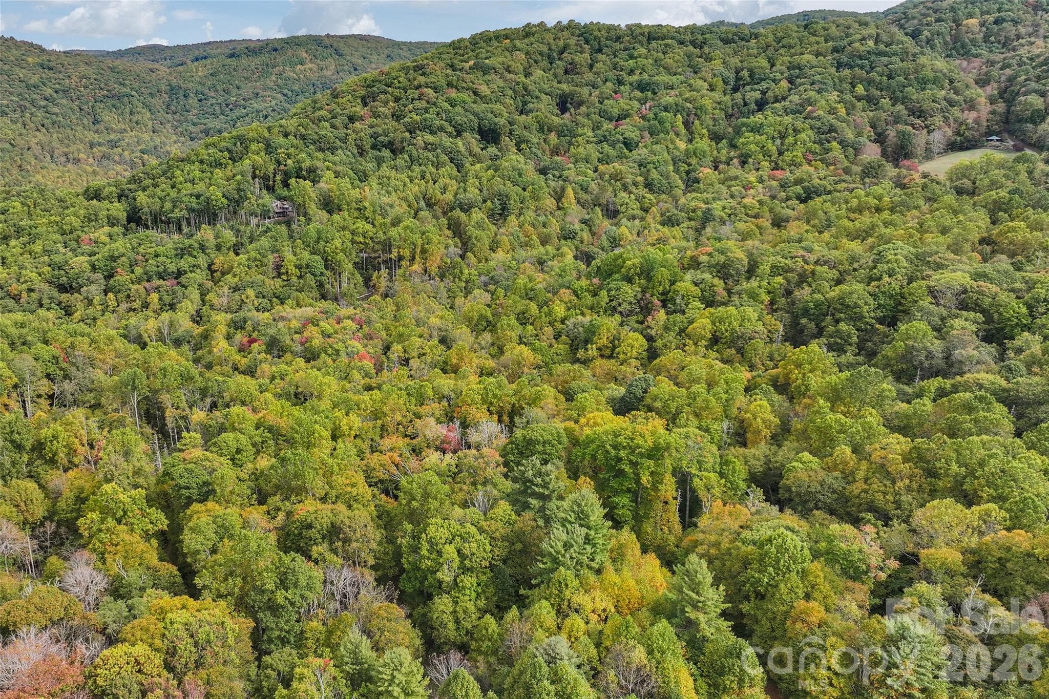 Lot at 45 Smoke Vine Trail, Clyde, photo 30 of 34