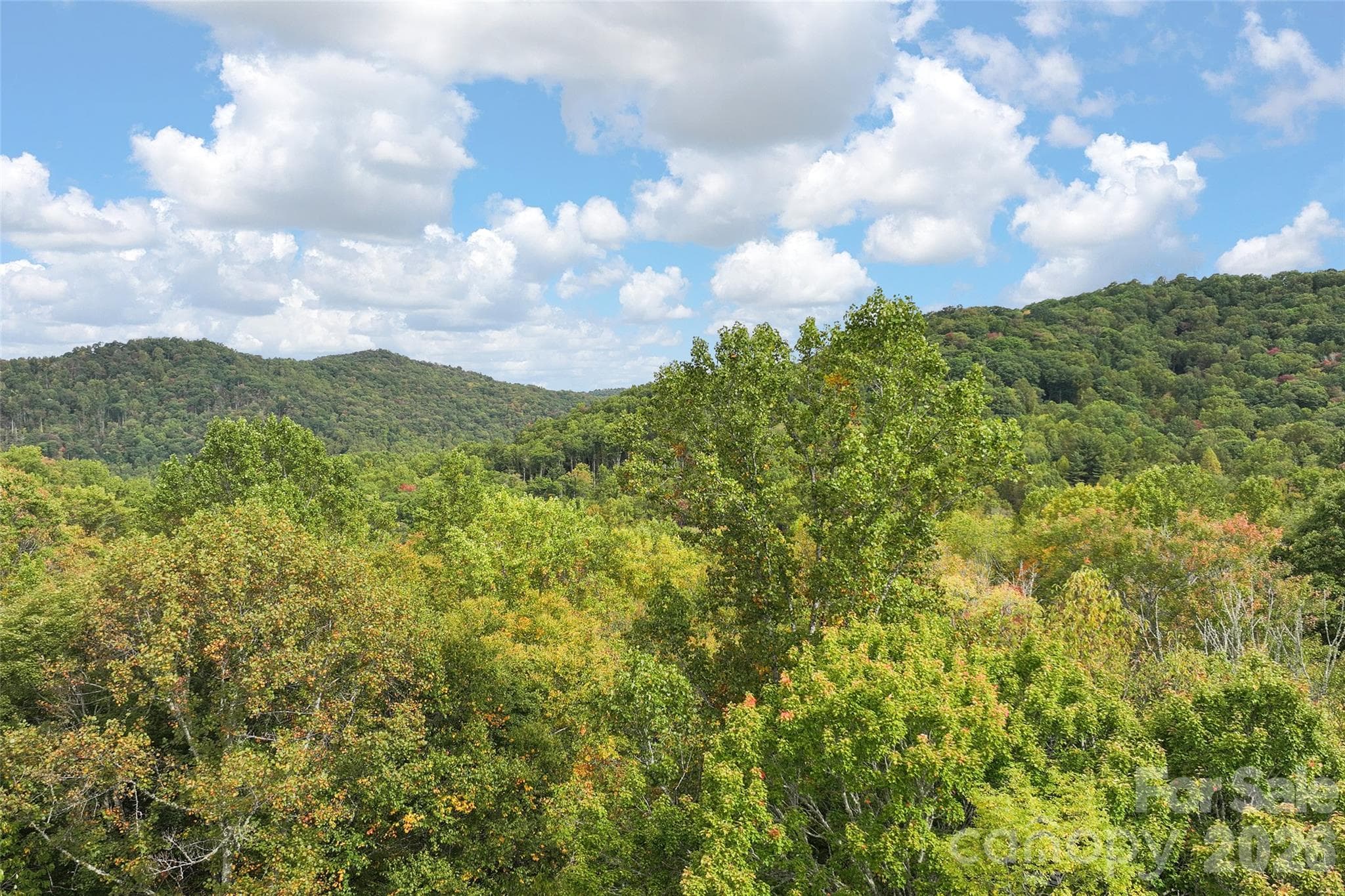 Lot at 45 Smoke Vine Trail, Clyde, photo 32 of 34