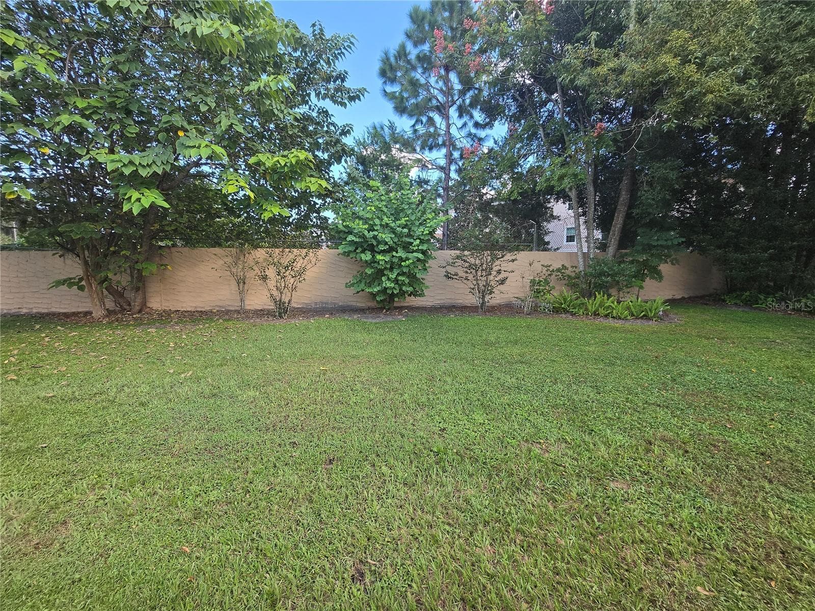 Back yard area - 35 VILLA VILLAR CT #350, DELAND