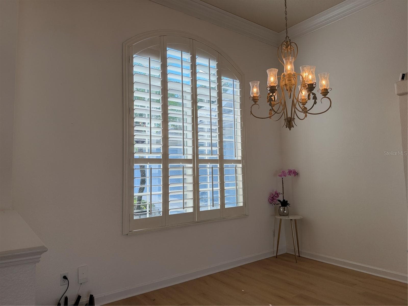 Plantation shutters at front dining room window - 2311 OASIS DR, LAND O LAKES