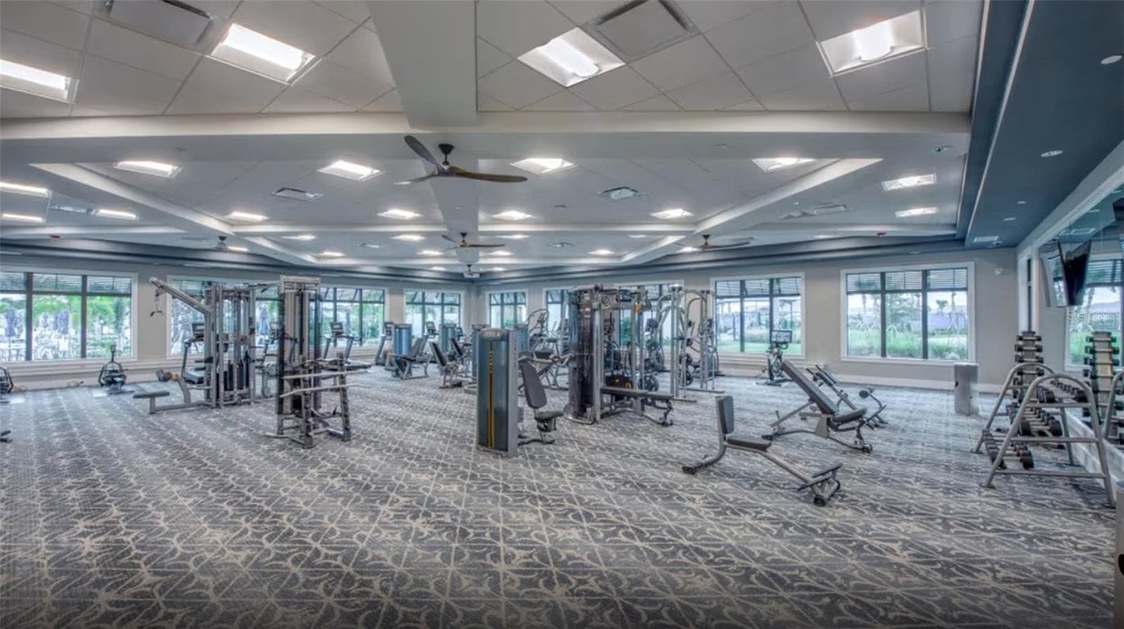 Gym - 14229 EAGLE BRANCH DR, NOKOMIS