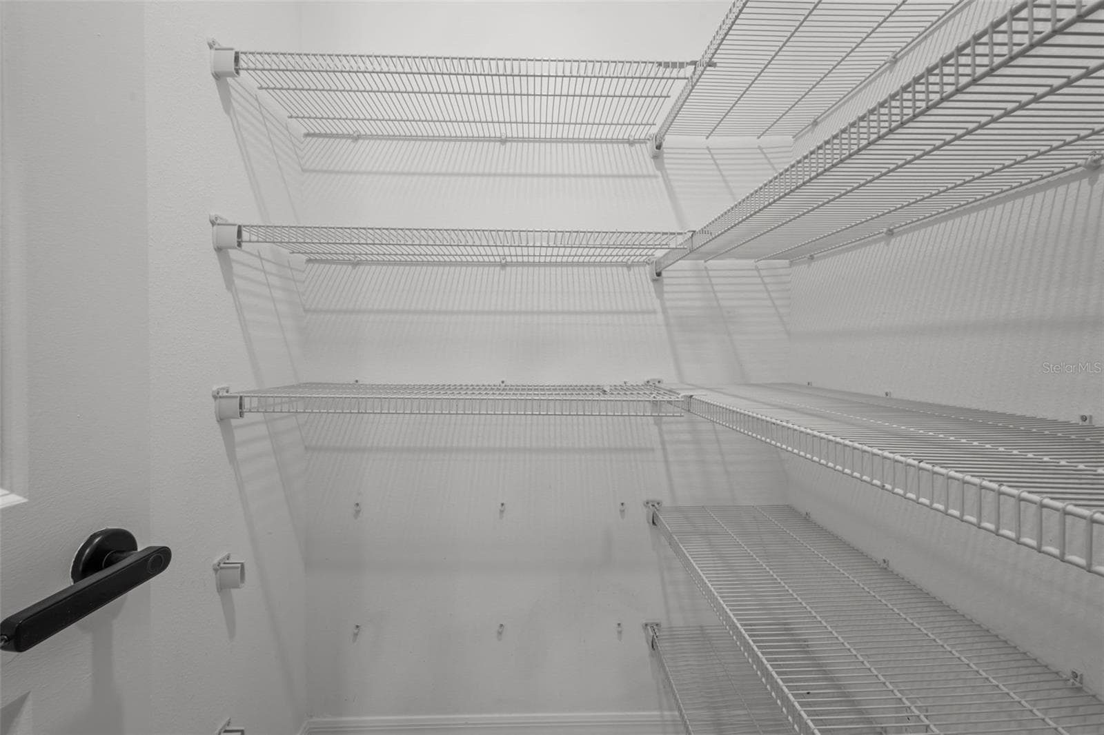 walk in pantry - 11069 FLOURISH DR, LAND O LAKES